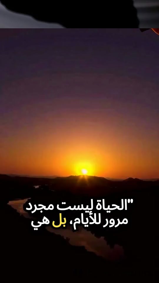 لحظات الحياة: دروس وإلهام في العيش اللحظي