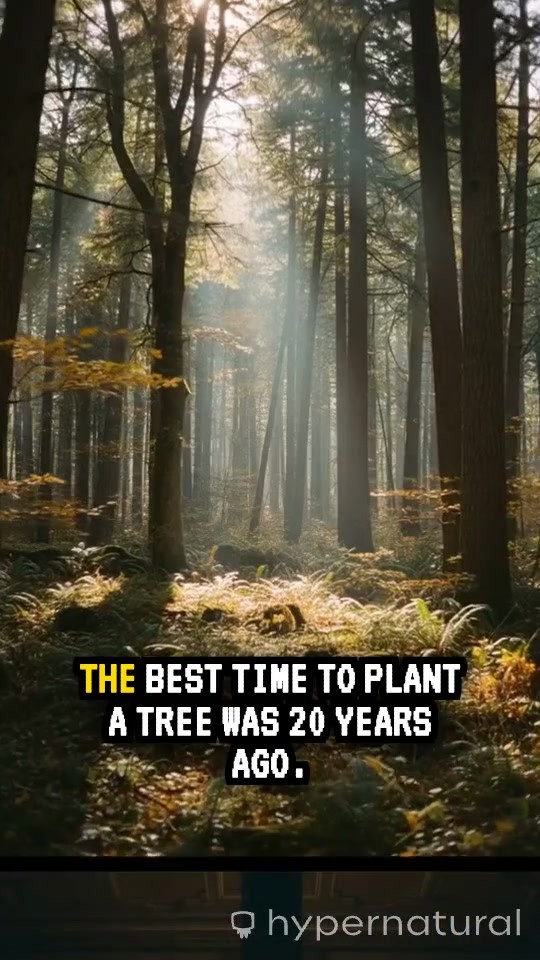 Planting Trees: It's Never Too Late!