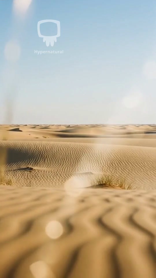 The Obsidian Discovery