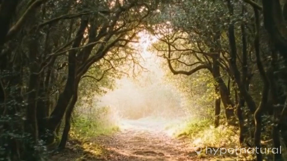 The Ascent of Determination