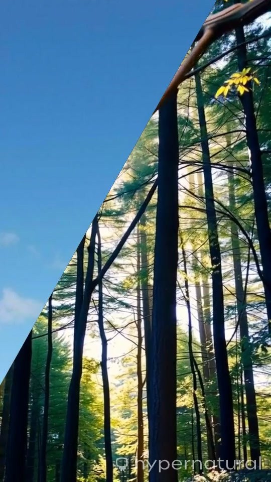 Nation at a Standstill: The Longest Government Shutdown in U.S. History