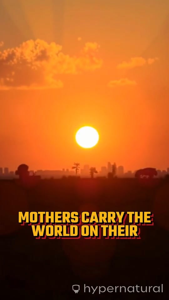 A Mother’s Sanctuary: Finding Solace in Secret Places