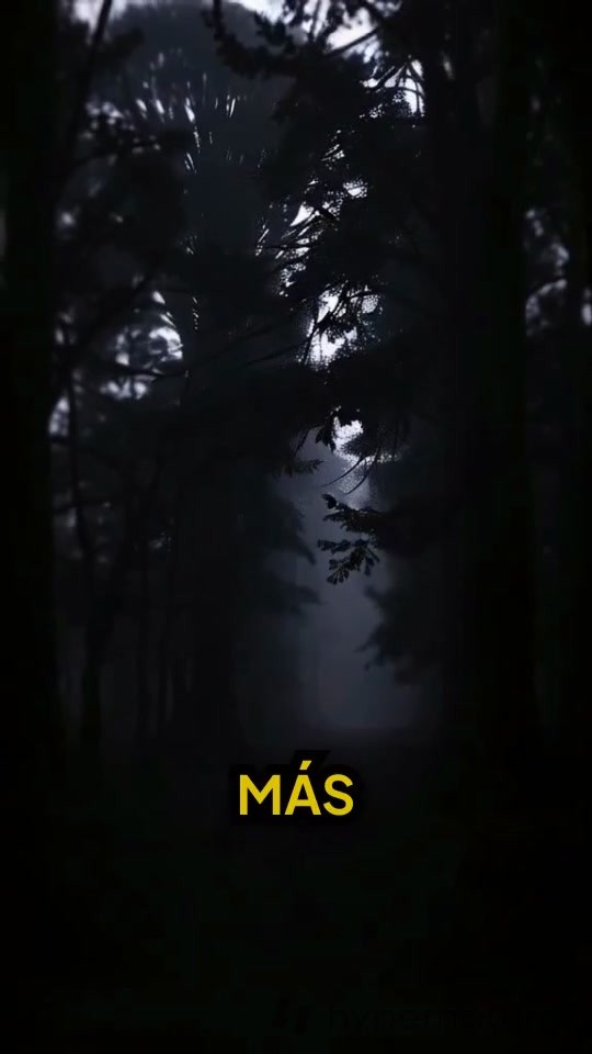 La Casa de los Susurros: El Misterio de Clara