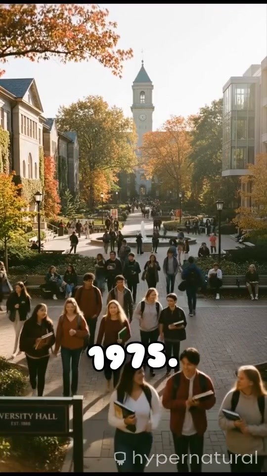 How We Met: A Love Story from the 1970s