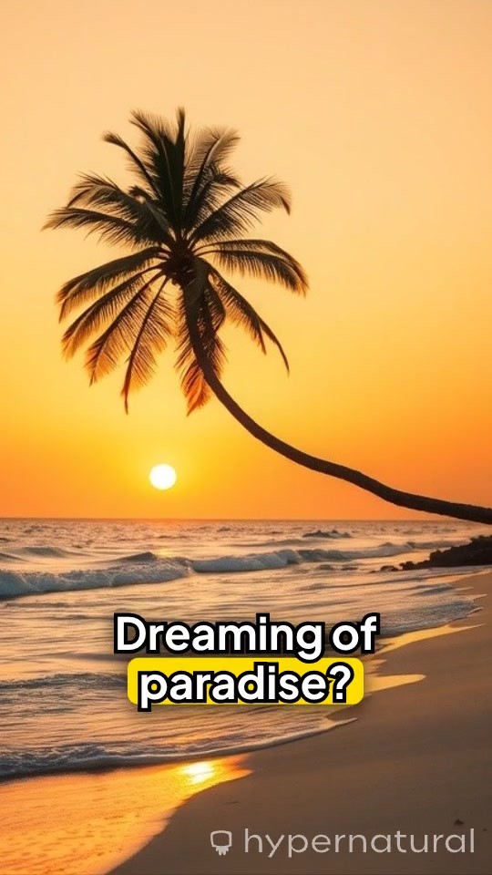 Soaring High with Our Colorful Parrot Airlines!