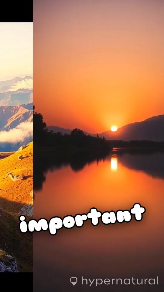 The Journey of Dreams and Discipline: Perseverance in UPSC