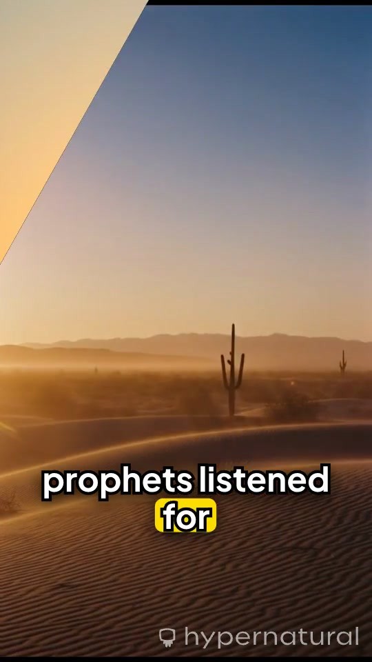 The Reluctant Prophet: Jonah's Journey