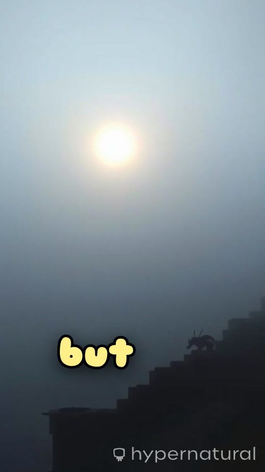 Family Picnic at Topchachi: A River Bank Celebration