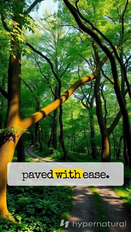 The Path to Success: A Motivational Journey