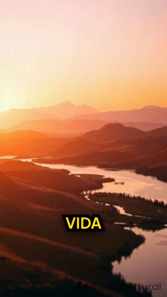 Reflexiones sobre la Vida y el Crecimiento Personal