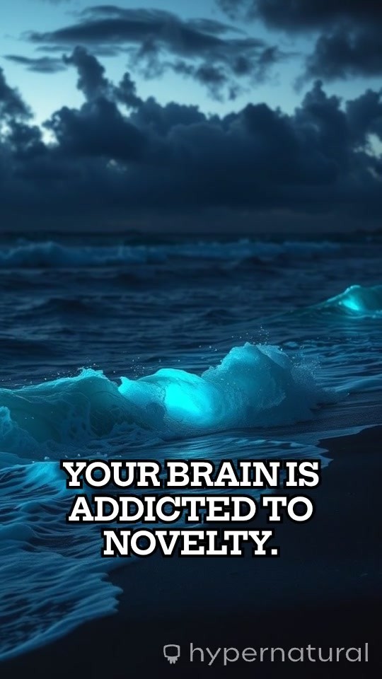 Breaking the Cycle: Finding Clarity Amidst the Noise