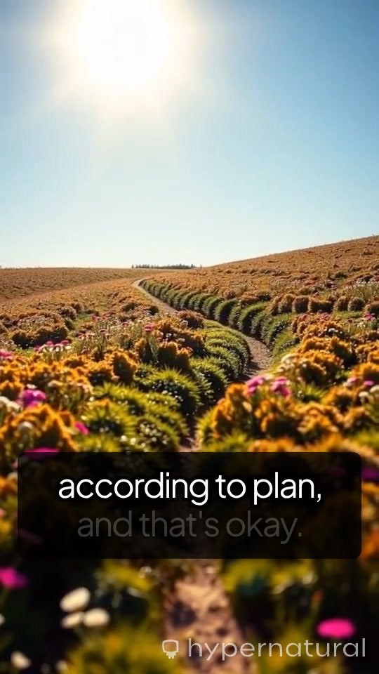 Embracing the Journey of Life