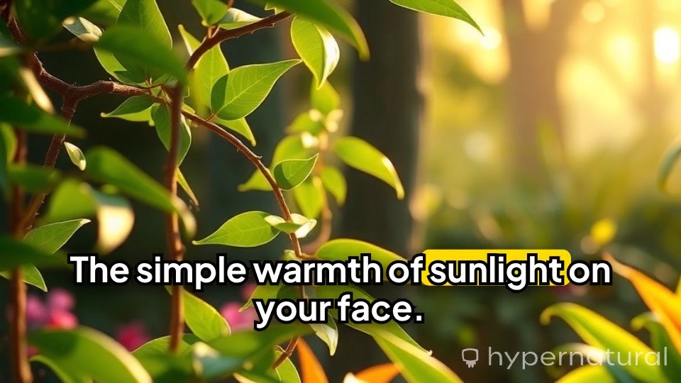 Serenity in Everyday Moments