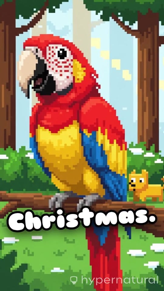 A Christmas Farewell