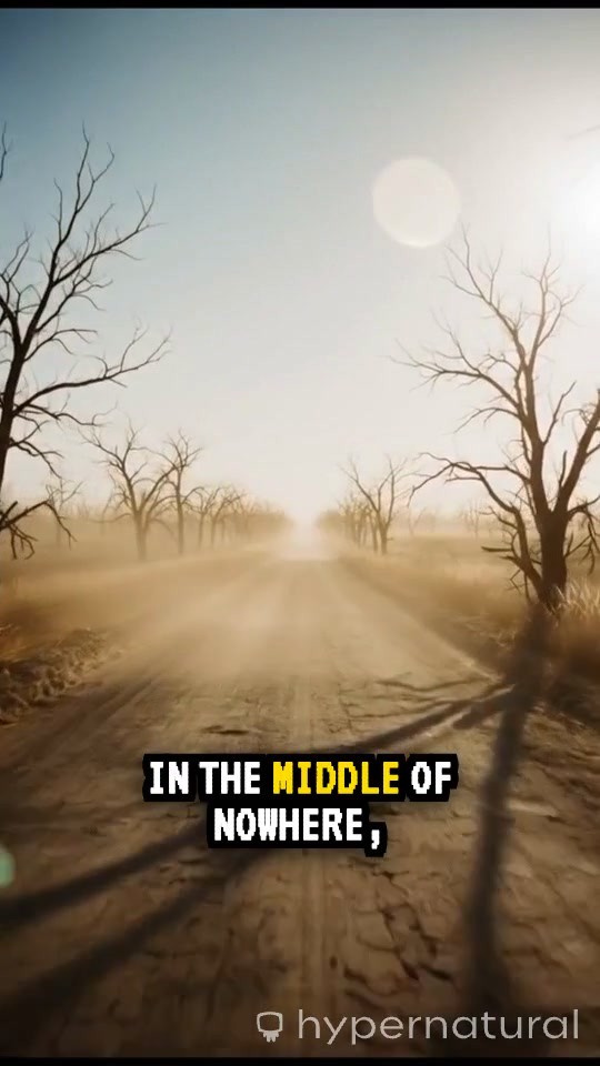 Expert AC Repair & Maintenance Services at Smart Mechanic Auto Repair