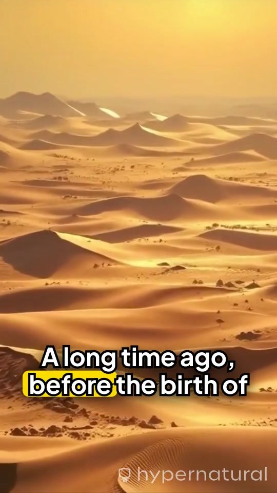 The Miraculous Defense of the Kaaba: The Story of Abraha and the Ababeel