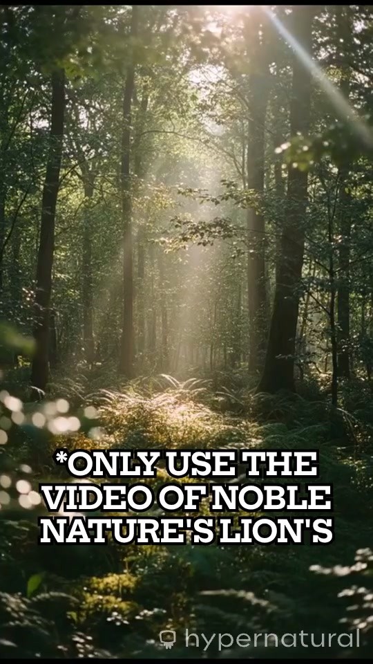 Unlock Clear Thinking & Calm Energy with Noble Nature's Lion's Mane + Ashwagandha