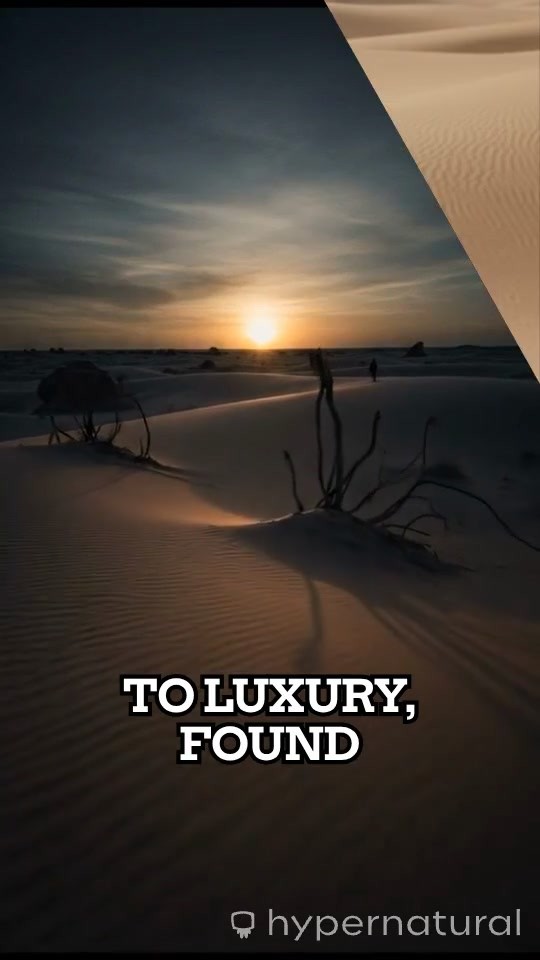 The Story of Human Rich and Lazarius