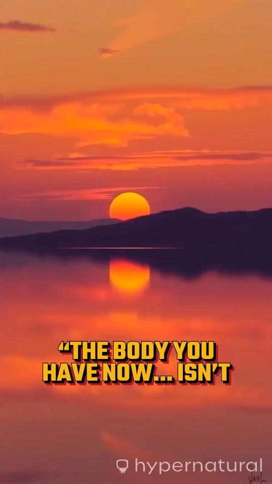 Your Body's 7-Year Update: Renewal and Rejuvenation!