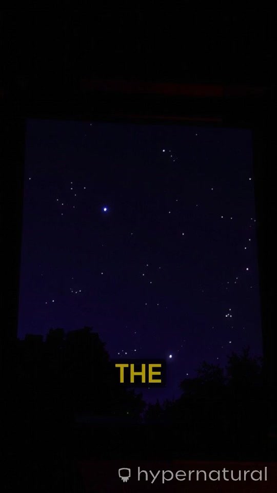 Whispers in the Void