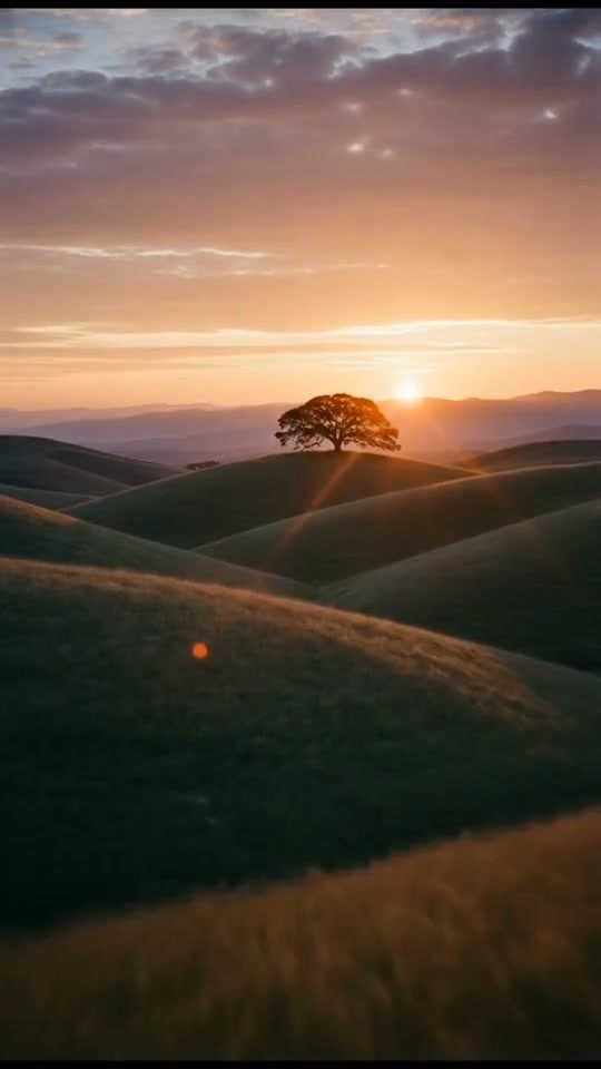 Whispers of the Sunset