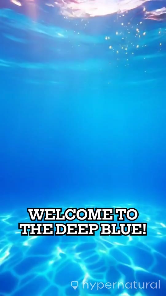 3 Deadliest Deep Sea Dives Where Divers Survived!