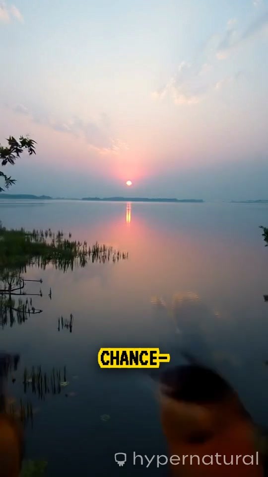 A Second Chance at Sunrise