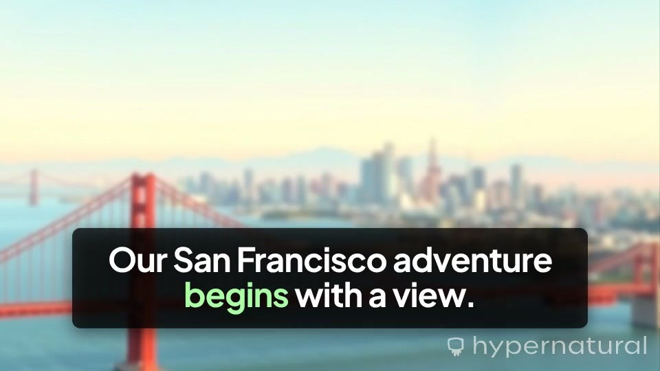 Adventures with Shadow: My Cat in San Francisco