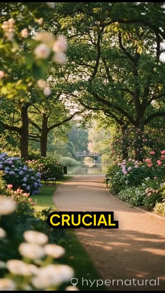 Cooper's Ligaments: Key to Breast Support and Health