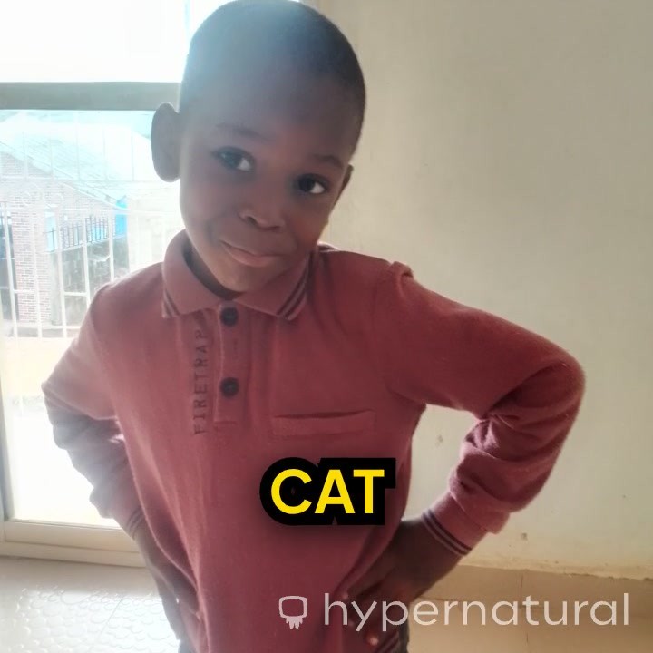 The Betrayal of the Cat and Mouse