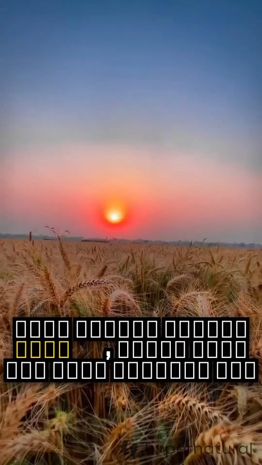 _storage_emulated_0_Android_data_com.fawazapp.blackhole_files_DCIM_blackhole_3MEK0DKLUH7KB25AIG4P.mp4