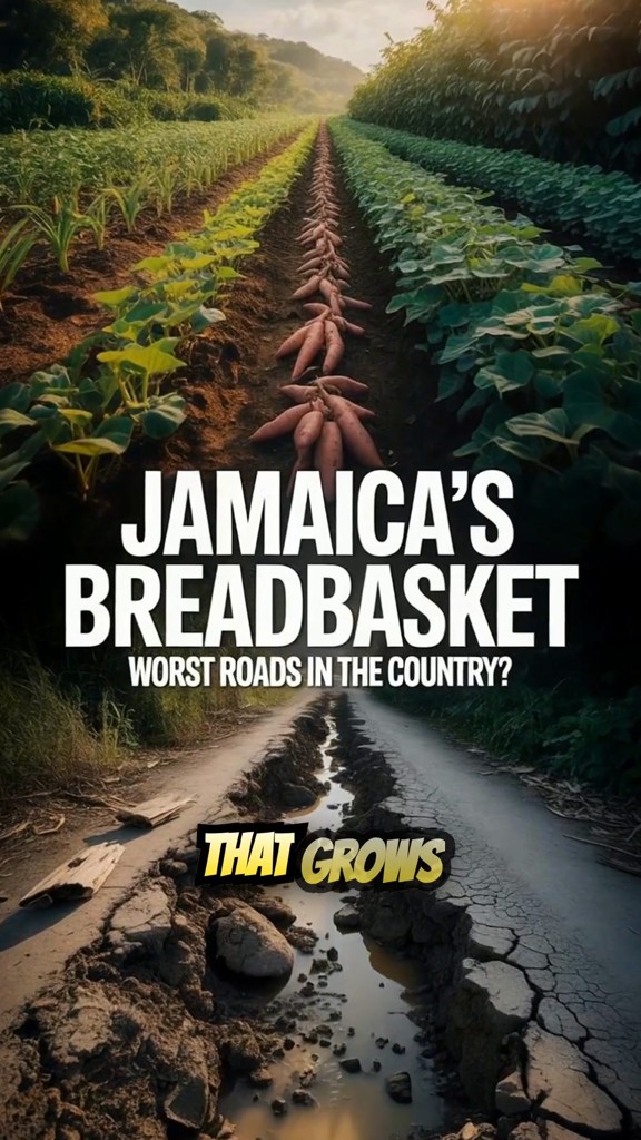 Forgotten Breadbasket: The Struggles of St. Elizabeth