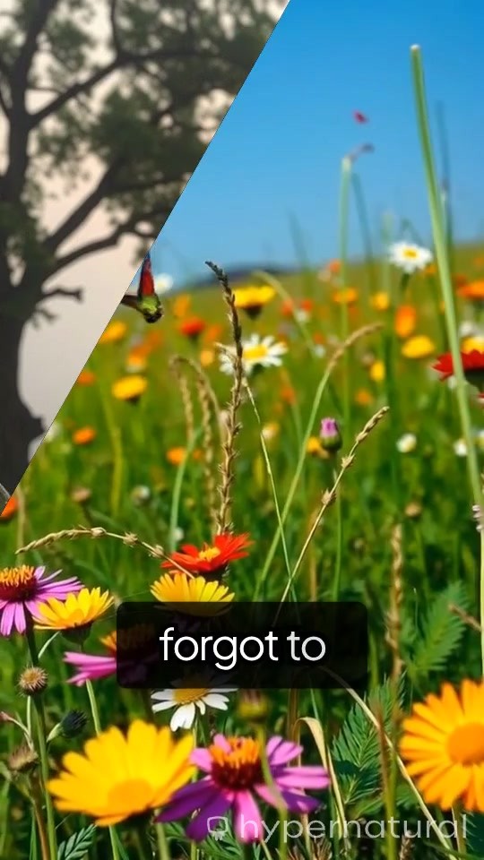 Cursed Echoes of Graves Farm