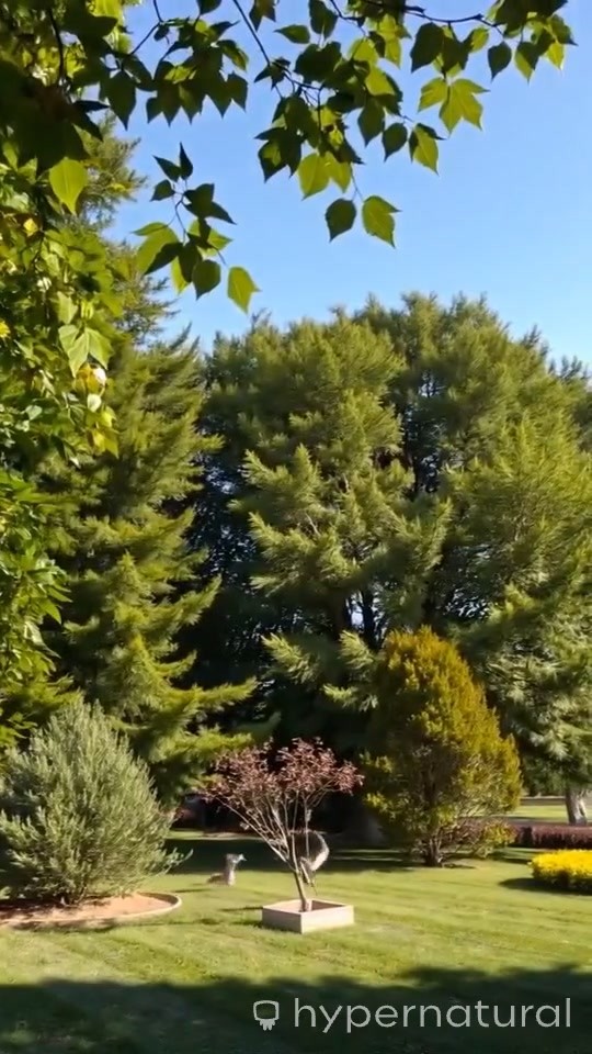 Proposal Proyek Akhir: Pemurnian Asap Cair Menggunakan Bentonit Teraktivasi