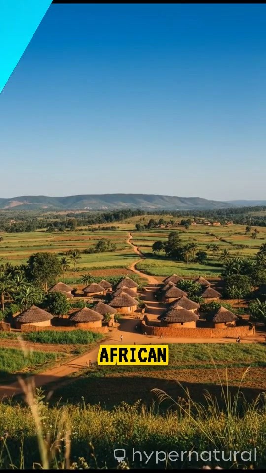 How the Negroes Became Christians