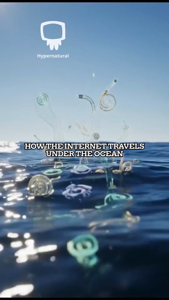 How the Internet Travels Under the Ocean
