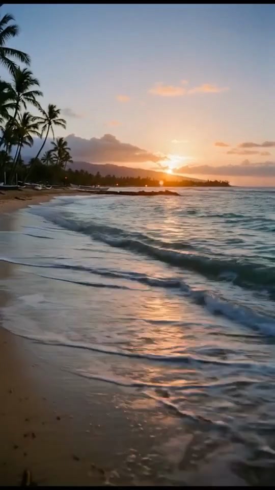 From Whispers to Applause: Obama's Journey