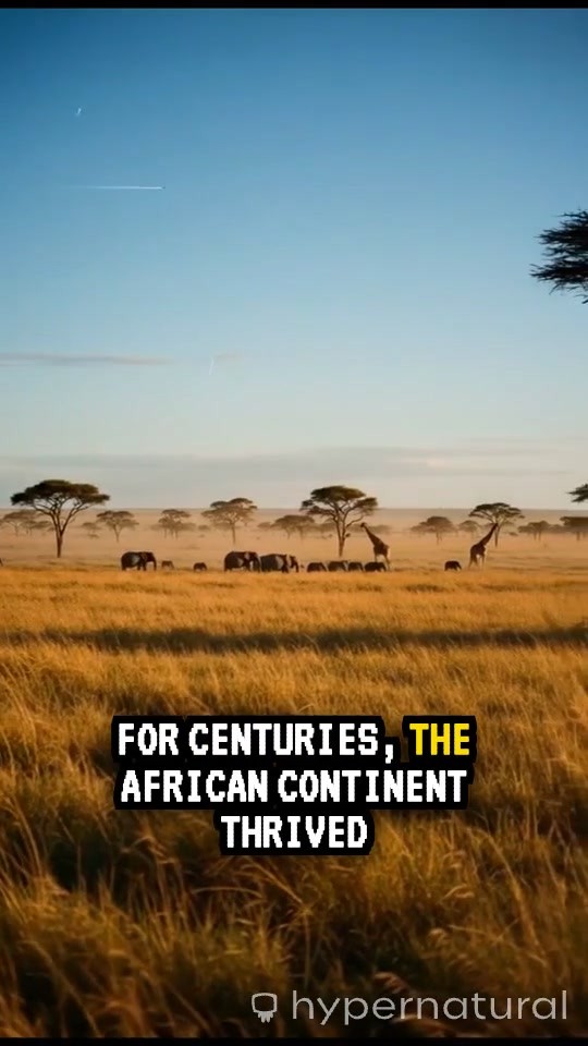 The Division of the African Continent: An Overview