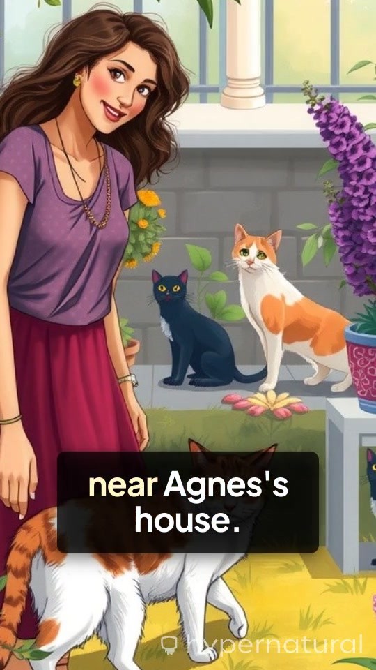 A New Feline Friendship