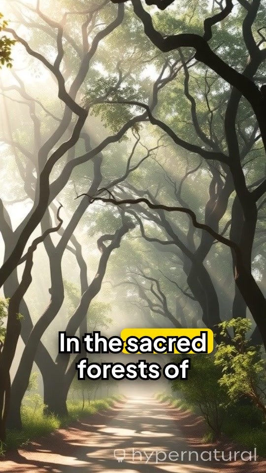 कृष्ण जी और राधा रानी जी का भक्तों को आशीर्वाद