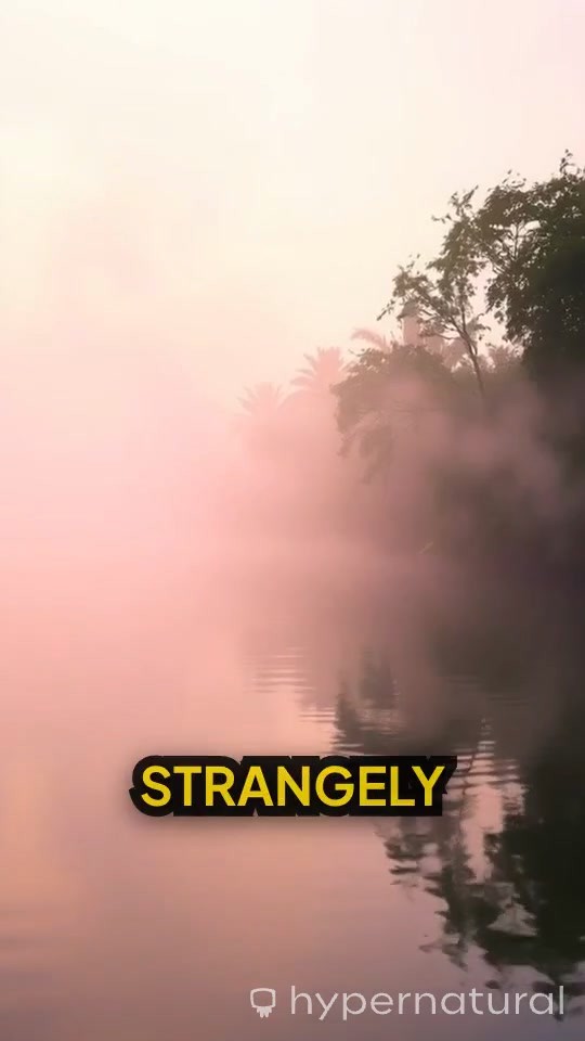 The Depths of Despair: Sara's Haunting