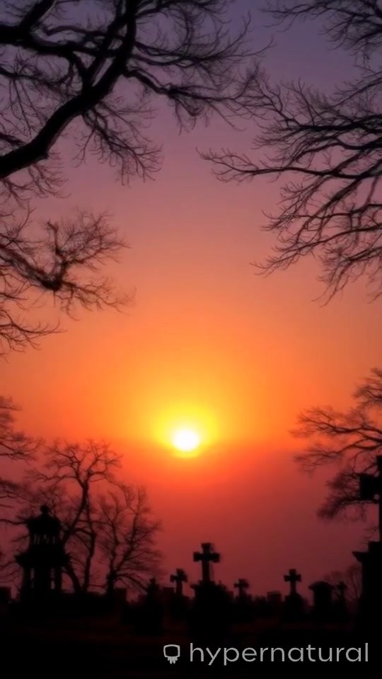 Essence of the Bhagavad Gita: Duty, Balance, and Devotion