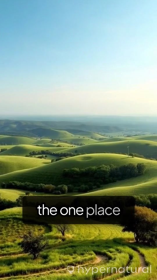 Embrace Your Inner Sanctuary