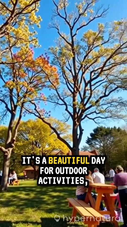 Kingsley's Pure Water: Refresh Your Day!