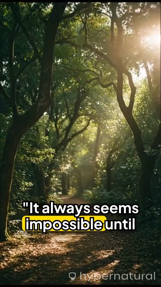 Rising Above: The Courage to Conquer Fear