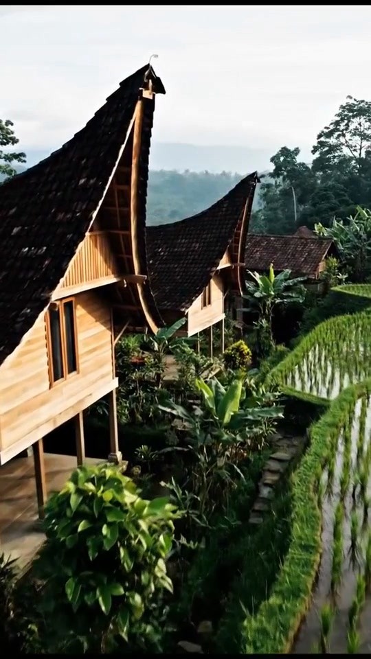 The My Lai Massacre: A Hidden Tragedy Revealed