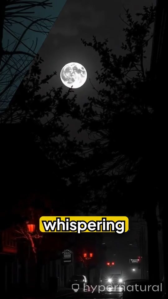 Whispers in the Night