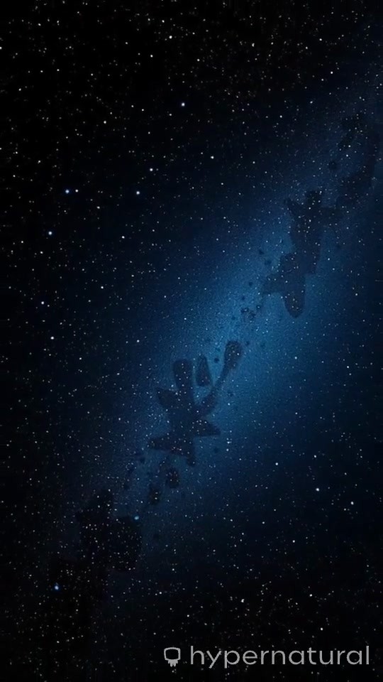 Lulu the Dancing Bunny: Twinkle Twinkle Little Star