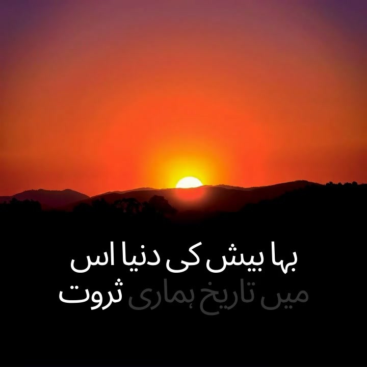 ذاتی داستانیں: جنگ کی گونج