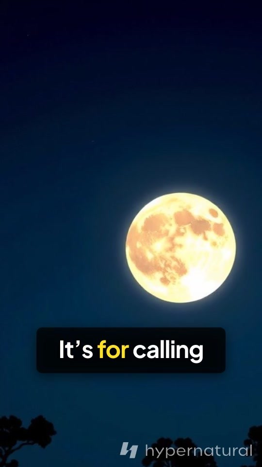 Capricorn Full Moon: Time for Cosmic Tough Love!